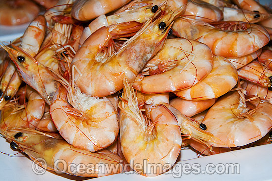 Prawn Seafood dish. Restaurant in Australia Photo - Gary Bell Prawn Seafood dish. Restaurant in Australia Photo - Gary Bell