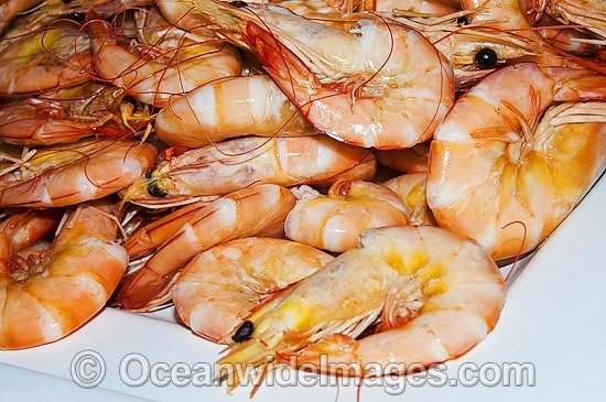 Prawn Seafood photo