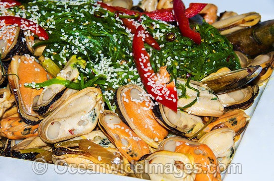 Mussel Seafood dish. Restaurant in Australia Photo - Gary Bell
