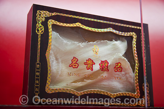 Shark-fin Soup packet photo Shark-fin Soup packet photo