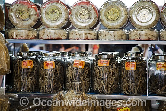 Glasses jars full of dried seahorses for sale at a medicine shop in Guangzhou, China. Seahorses are dried for use as aphrodisiacs in Chinese medecine. Photo - David Fleetham