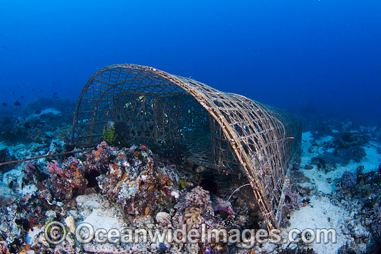 Traditonal Fish trap Philippines photo