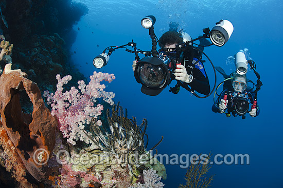 Scuba Divers photographing a tropical coral reef, situated in Indonesia. Within the Coral Triangle. Photo - David Fleetham Scuba Divers photographing a tropical coral reef, situated in Indonesia. Within the Coral Triangle. Photo - David Fleetham