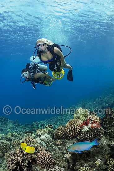 Scuba Divers exploring a tropical coral reef with underwater scooters in the waters of Hawaii, Pacific Ocean. Photo - David Fleetham Scuba Divers exploring a tropical coral reef with underwater scooters in the waters of Hawaii, Pacific Ocean. Photo - David Fleetham