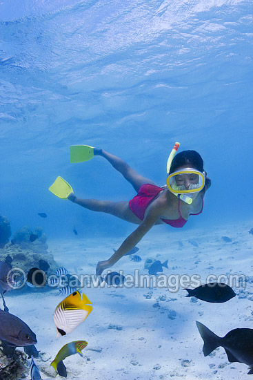 Snorkel Diver exploring Cook Islands photo Snorkel Diver exploring Cook Islands photo