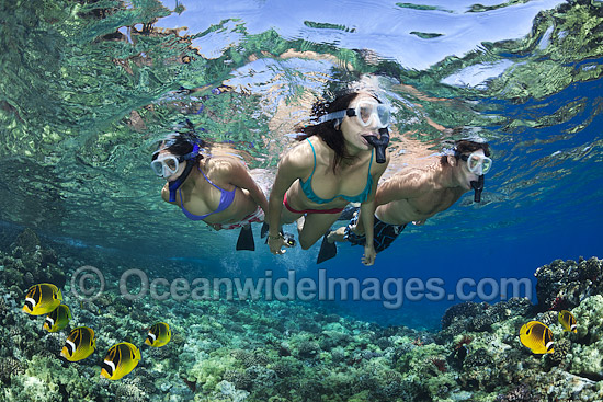 Snorkel Divers exploring a tropical coral reef, situated in the Molokini Marine Reserve, Maui, Hawaii, Pacific Ocean. Photo - David Fleetham Snorkel Divers exploring a tropical coral reef, situated in the Molokini Marine Reserve, Maui, Hawaii, Pacific Ocean. Photo - David Fleetham