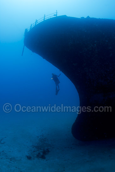 Diver exploring the shipwreck Sea Tiger off Waikiki, Oahu, Hawaii, Pacific Ocean. Photo - David Fleetham Diver exploring the shipwreck Sea Tiger off Waikiki, Oahu, Hawaii, Pacific Ocean. Photo - David Fleetham