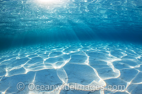 Underwater Seascape sand and sunrays photo
