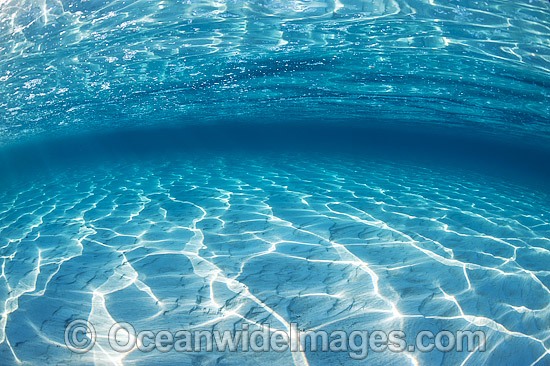 Underwater Seascape sunrays on sand photo