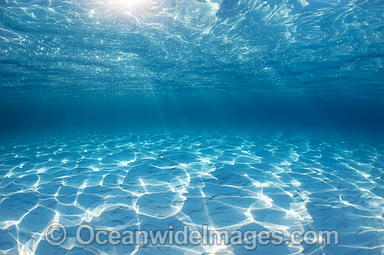 Underwater Sunrays on sand photo