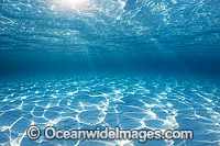 Underwater Sunrays on sand Photo - Gary Bell