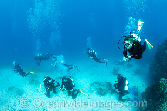 Divers exploring Great Barrier Reef photo