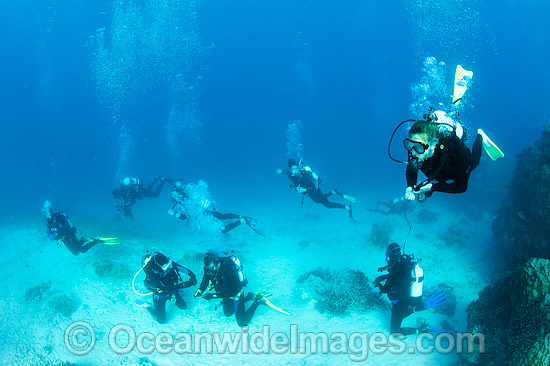 Divers exploring a tropical coral reef. Photo taken at Heron Island, Great Barrier Reef, Australia. Photo - Gary Bell Divers exploring a tropical coral reef. Photo taken at Heron Island, Great Barrier Reef, Australia. Photo - Gary Bell