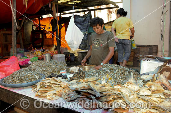 Dried Fish at Fish Market photo