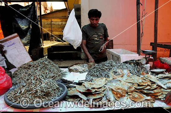 Indonesian Fish Market photo