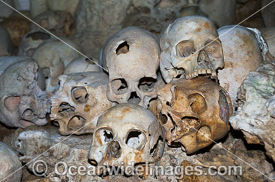 Skulls in Cave photo