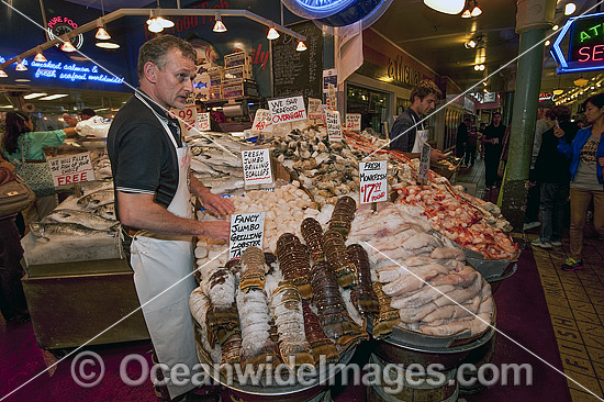 Fishmongers sell seafood at the Pike Place Market in downtown Seattle, Washington, USA. Photo - Michael Patrick O'Neill Fishmongers sell seafood at the Pike Place Market in downtown Seattle, Washington, USA. Photo - Michael Patrick O'Neill