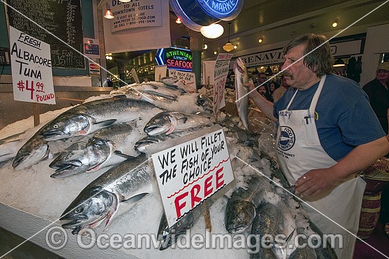 Fishmongers sell seafood at the Pike Place Market in downtown Seattle, Washington, USA. Photo - Michael Patrick O'Neill