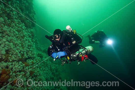 Scuba Diving Vancouver Island photo