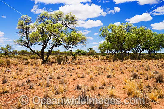 Outback Australia photo