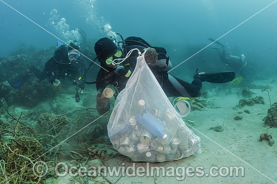 Scuba Divers picking up cans and garbage dumped on a coral reef offshore Palm Beach, Florida, USA. Photo - Michael Patrick O'Neill Scuba Divers picking up cans and garbage dumped on a coral reef offshore Palm Beach, Florida, USA. Photo - Michael Patrick O'Neill