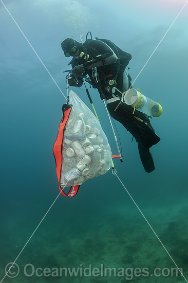 Scuba Diver with cans and garbage photo