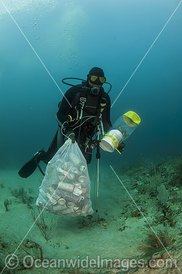 Scuba Diver with collected cans and garbage dumped on a coral reef offshore Palm Beach, Florida, USA. He is also removing an invasive introduced Volitans Lionfish (Pterois volitans), from the reef. Photo - Michael Patrick O'Neill