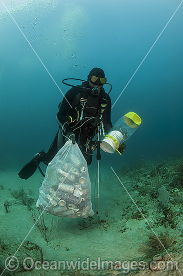 Scuba Diver with collected cans and garbage dumped on a coral reef offshore Palm Beach, Florida, USA. He is also removing an invasive introduced Volitans Lionfish (Pterois volitans), from the reef. Photo - Michael Patrick O'Neill Scuba Diver with collected cans and garbage dumped on a coral reef offshore Palm Beach, Florida, USA. He is also removing an invasive introduced Volitans Lionfish (Pterois volitans), from the reef. Photo - Michael Patrick O'Neill