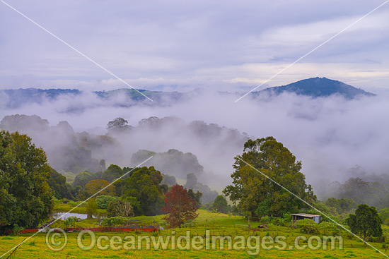 Early morning mountain mist in a valley, adjacent to farmland. Photo was taken near Dorrigo on the Northern Tablelands, in northern New South Wales, Australia. Photo - Gary Bell