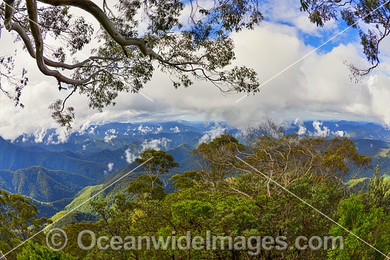 Panorama view from Point Lookout, on the Great Escarpment situated in Gondwana Rainforest, New England National Park, New South Wales, Australia. This rainforest is inscribed on the World Heritage List in recognition of its outstanding universal value. Photo - Gary Bell