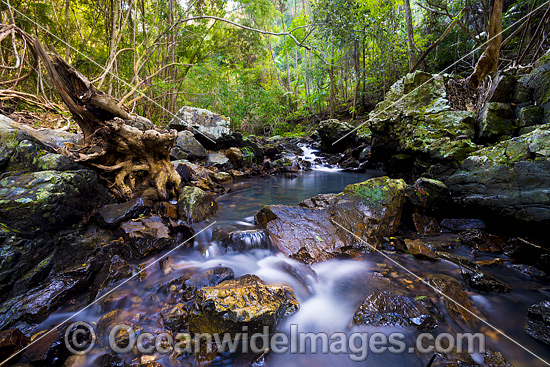Sherwood Nature Stream photo Sherwood Nature Stream photo