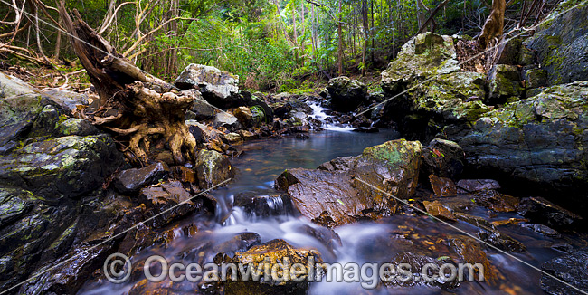 Sherwood Nature Stream photo