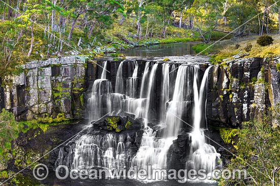 Ebor Falls, situated within Guy Fawkes River National Park, near Ebor on Waterfall Way. New England Tablelands, New South Wales, Australia. Photo - Gary Bell