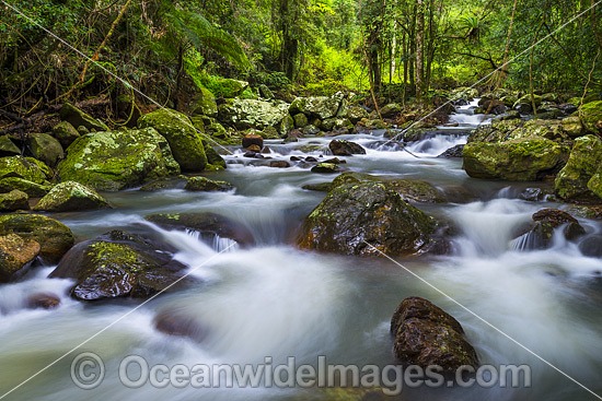 Rainforest Stream, a part of Dingo Creek, situated in the Orara Valley, west of Coffs Harbour, New South Wales, Australia. Photo - Gary Bell