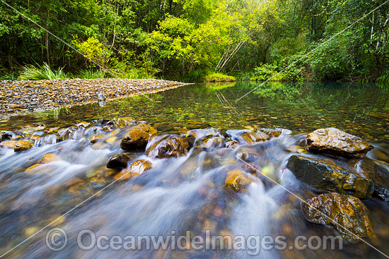 Dingo Creek Coffs Harbour photo Dingo Creek Coffs Harbour photo