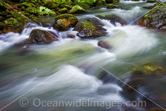 Springbrook Waterfall photo Springbrook Waterfall photo