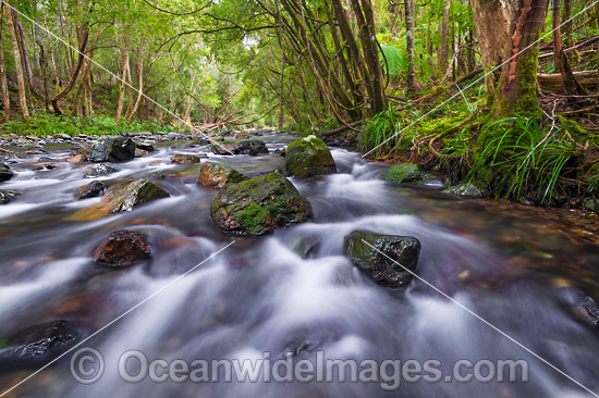 Stream Bindarri National Park photo