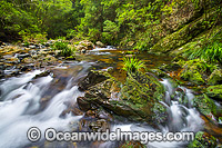 Stream Bindarri National Park Photo - Gary Bell
