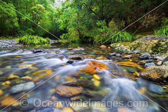 Stream Bindarri National Park photo