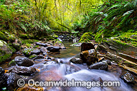 Gondwana Rainforest Stream Photo - Gary Bell