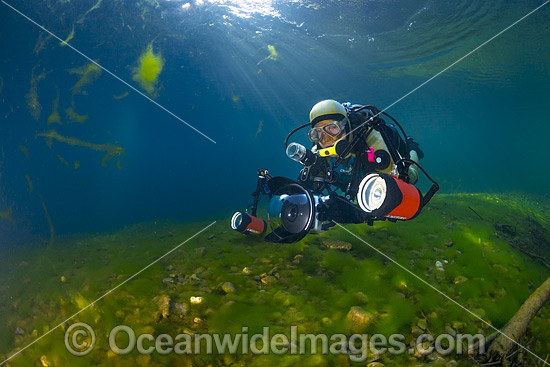 Underwater photographer, with scuba, photographing life in the Urumbilum River, situated in the Orara Valley, near Coffs Harbour, New South Wales, Australia. Photo - Gary Bell Underwater photographer, with scuba, photographing life in the Urumbilum River, situated in the Orara Valley, near Coffs Harbour, New South Wales, Australia. Photo - Gary Bell