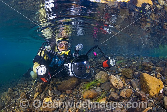Underwater photographer, with scuba, photographing life in the Urumbilum River, situated in the Orara Valley, near Coffs Harbour, New South Wales, Australia. Photo - Gary Bell