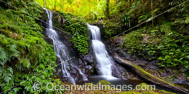 Twin Falls Lamington National Park photo Twin Falls Lamington National Park photo