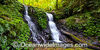 Twin Falls Lamington National Park Photo - Gary Bell