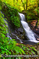 Twin Falls Lamington National Park Photo - Gary Bell