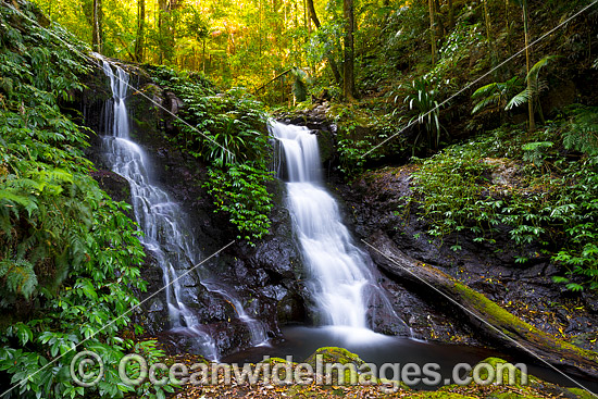 Twin Falls Lamington National Park photo Twin Falls Lamington National Park photo