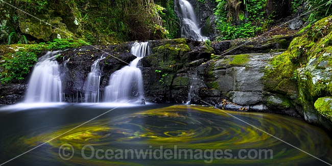 Elabana Falls Lamington National Park photo