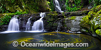 Elabana Falls Lamington National Park Photo - Gary Bell