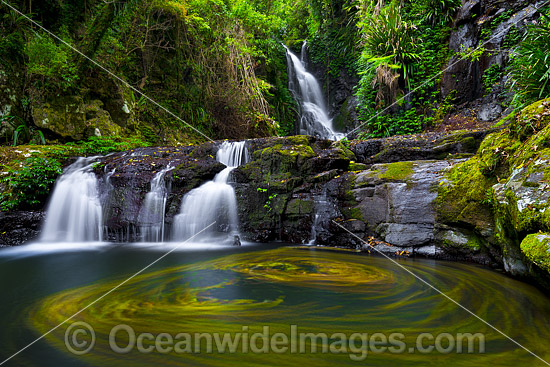 Swirling leaves floating in the water hole of Elabana Falls, situated in sub-tropical rainforest, Lamington World Heritage National Park, Queensland, Australia. Photo - Gary Bell Swirling leaves floating in the water hole of Elabana Falls, situated in sub-tropical rainforest, Lamington World Heritage National Park, Queensland, Australia. Photo - Gary Bell