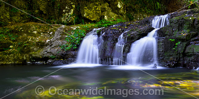 Swirling leaves floating in the water hole of Elabana Falls, situated in sub-tropical rainforest, Lamington World Heritage National Park, Queensland, Australia. Photo - Gary Bell Swirling leaves floating in the water hole of Elabana Falls, situated in sub-tropical rainforest, Lamington World Heritage National Park, Queensland, Australia. Photo - Gary Bell